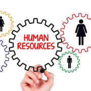 risorse umane