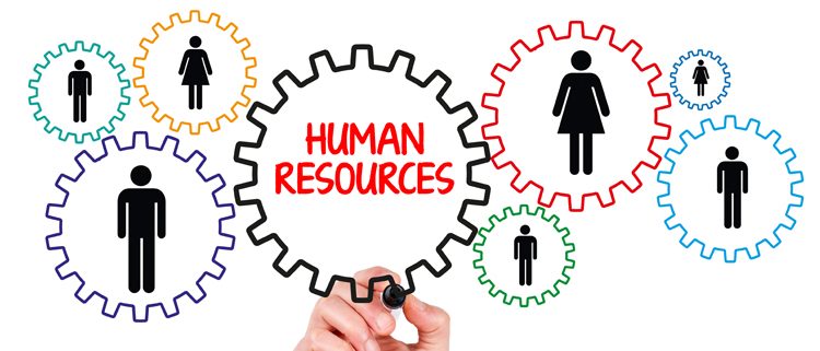 risorse umane